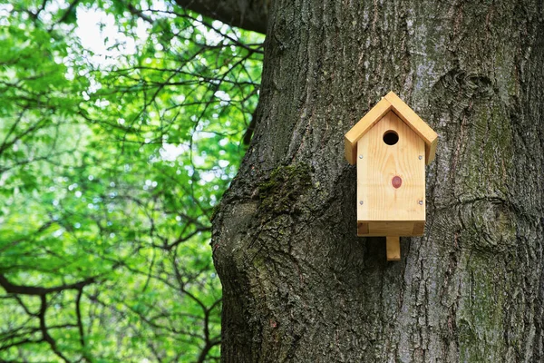 Ağaçtaki Kuş Evi Tahta Kuş Evi Parkta Ötücü Kuşlar Için — Stok fotoğraf