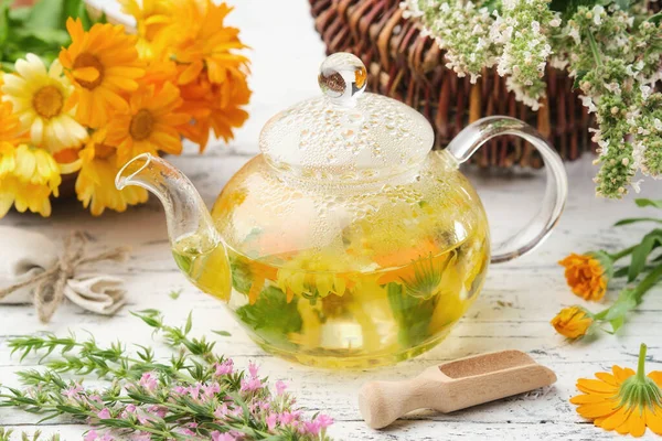 Стеклянный Чайник Здорового Травяного Чая Иссоп Календула Мятные Лекарственные Травы — стоковое фото