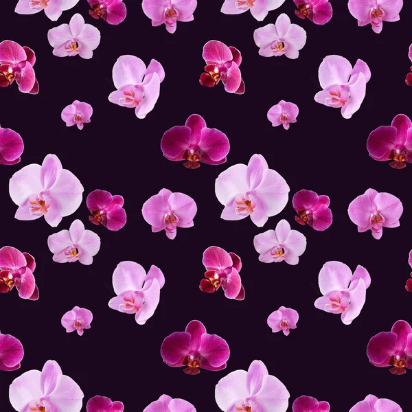 Beautiful Seamless Pattern Orchid Flowers Orchids Pattern Design Dark Purple — Stock Photo, Image