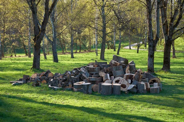 Sawn Wood Lies Heap Stack Dry Sawn Logs Large Pile — Stock Photo, Image