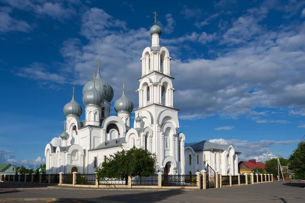 Kutsal Havarilerin eski ortodoks kilisesi Peter ve Paul, Bereza, Brest bölgesi, Belarus.