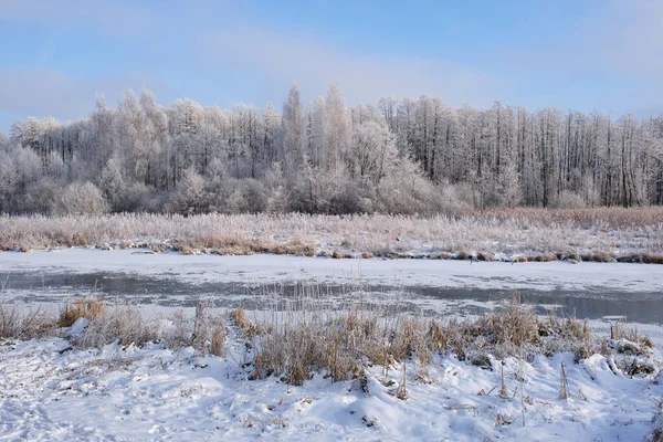 Schöne Schneebedeckte Winterlandschaft Des Flusses Wald Hintergrund — Stockfoto