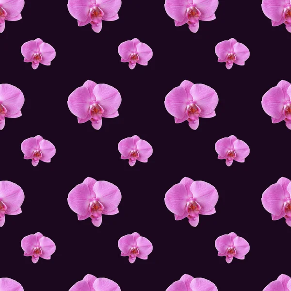 Beautiful Seamless Pattern Pink Orchid Flowers Orchids Pattern Design Dark — Stock Photo, Image