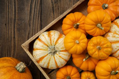 Mutfak masasındaki ahşap sandıkta birkaç küçük balkabağı. Üst manzara, düz uzanma.