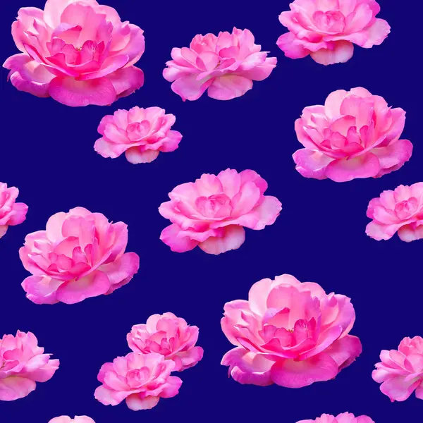 Beautiful seamless pattern of pink rose flowers. Roses pattern for design on blue background.