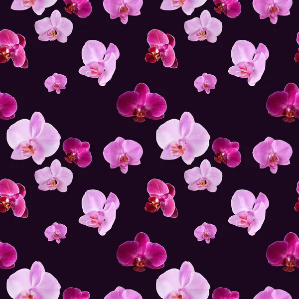 Piękny Bezszwowy Wzór Orchidei Kwiaty Wzór Storczyki Projektowania Ciemnym Fioletowym — Zdjęcie stockowe