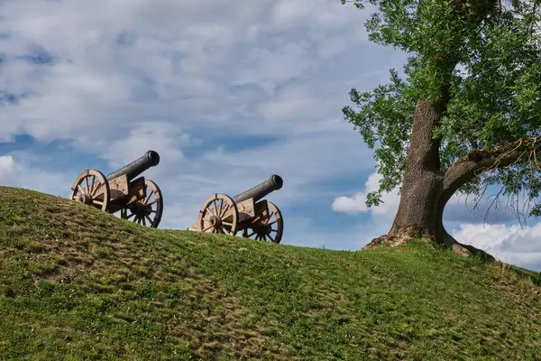 Twee Oude Retro Kanonnen — Stockfoto