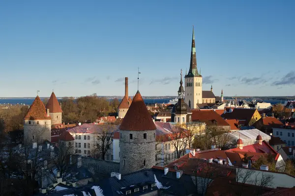 Bela Paisagem Urbana Cidade Velha Tallinn Vista Panorâmica Convés Observação — Fotografia de Stock