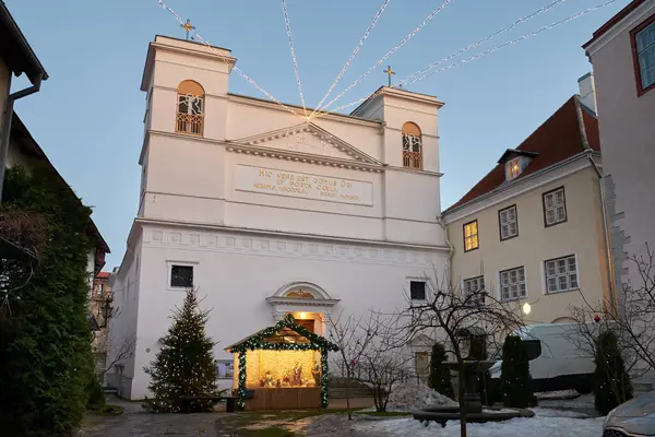 Old Antique Cathedral Peter Paul December Christmas Time Tallinn Estonia — Stock Photo, Image