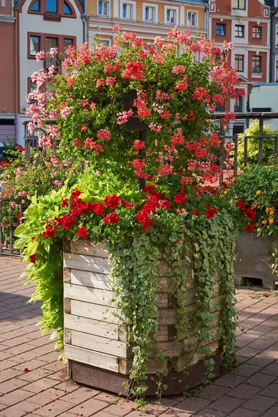 Вертикальная Клумба Городской Среде Цветы Зелени Ландшафтном Дизайне Современная Городская — стоковое фото