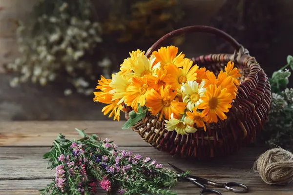 一筐健康的金盏花药草 嫁人的花 石南花和透明质草束 药草背景 替代草药 图库照片