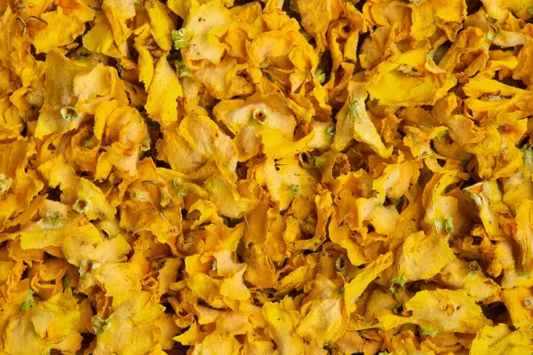 共通のマリンヒーリングハーブ ウリー マラインの乾いた花 乾いたベバシウムの背景には 薬用植物が含まれています 代替ハーブ医学 ストックフォト