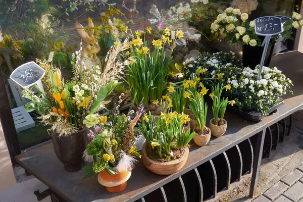 Krásné Jarní Květiny Před Květinářstvím Jaře Velikonoční Květinové Aranžmá — Stock fotografie