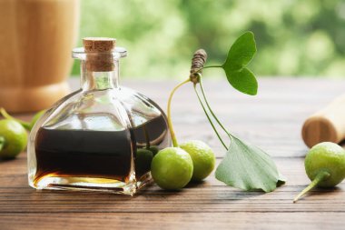 Bir şişe ginkgo biloba infüzyonu, tentür veya özüt. Sağlıklı ginkgo yaprakları ve açık masa meyveleri. Alternatif bitkisel ilaç. Sağlık hizmetleri.