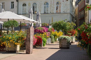 Riga 'nın eski kentsel çevresindeki dikey çiçek yataklarının görüntüsü. Peyzaj ve çiçek tarlaları tasarımı, şehir çiçek düzenleme ve düzenleme. Riga, Letonya.