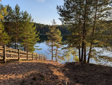 Tahta bir merdiven, Letonya 'nın Ogre kentindeki Blue Hills Doğa Parkı' nda çam ormanlarıyla çevrili sakin bir göle açılıyor. Yürüyüş, turizm ve açık hava rahatlığı için ünlü manzaralı bir yer..