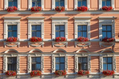Arka planda simetrik pencereler, dekoratif beyaz süslemeler ve kırmızı sardunya çiçek kutularıyla klasik Avrupa binası cephesi. Tarihi bir şehirde kentsel yeşillendirme ve mimari estetiğin sergilenmesi. 