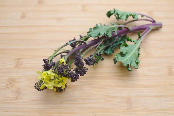 Bunga Kuning Pada Brokoli Purple Tumbuh — Stok Foto