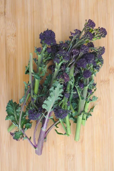 Fresh Purple Sprouting Broccoli Harvested Allotment Garden Growing Healthy Local Royalty Free Stock Photos