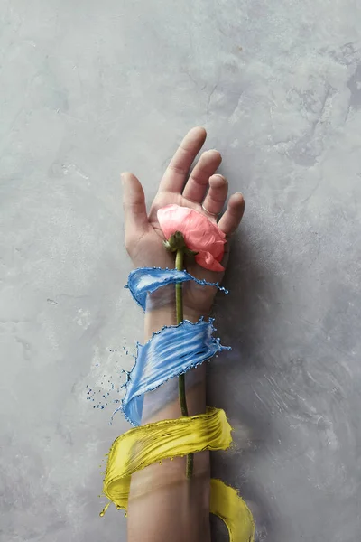 Рука Розовой Розой Брызгами Цветах Украинского Желтого Синего Флагов Стоковое Фото