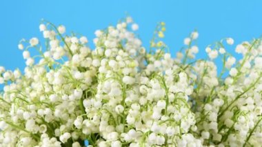 Vadi zambakları. Vadi çiçeklerinin zambaklarından oluşan bir arka plan. Yan görüş. Döngü hareketi. Rotasyon 360. 4K UHD video görüntüsü 3840X2160.