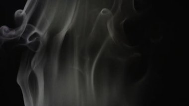 Siyah arka planda sigara içmek. Siyah üzerine hava nemlendiricisinin soyut akış buharı. Yan görüş. 4K UHD video görüntüsü 3840X2160.
