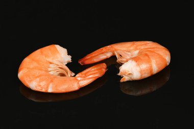 Karides akrilik siyah arka planda izole edilmiş. Yüksek çözünürlüklü. Tam alan derinliği.