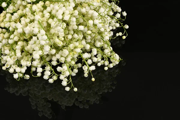 Lily of the valley flowers on black abstract background. High resolution photo. Full depth of field.