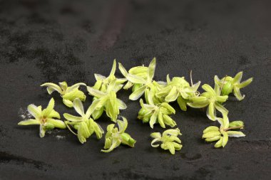 Cannabis flowers, side view isolated on black. Extrem close-up. High resolution photo. Full depth of field.