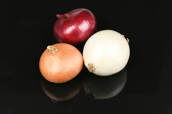 Drei Zwiebelzwiebeln Verschiedenen Farben Rot Gelb Und Weiß Isoliert Auf — Stockfoto