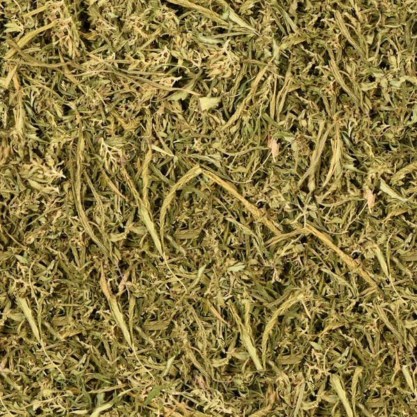 Textura Sem Costura Papel Parede Folhas Cannabis Secas Cannabis Medicinal — Fotografia de Stock
