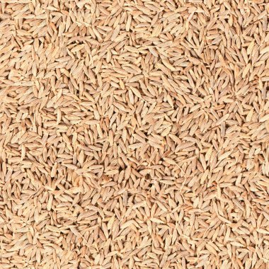 Beyaz zemin üzerinde pürüzsüz doku veya duvar kağıdı, kimyon ya da zira izole edilmiş. Üst Manzara. Yüksek çözünürlük Tam alan derinliği