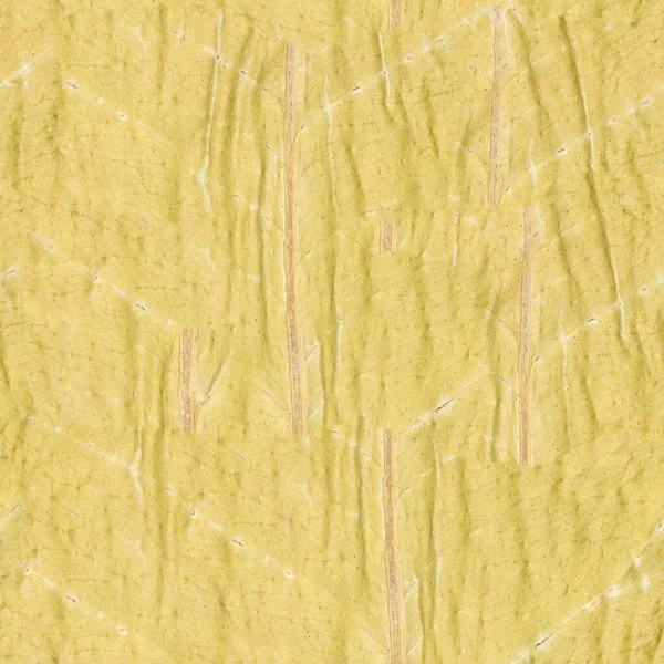 Płynna Faktura Lub Tapeta Zbliżenie Zdjęcie Jesiennych Liści Tła Wysoka — Zdjęcie stockowe