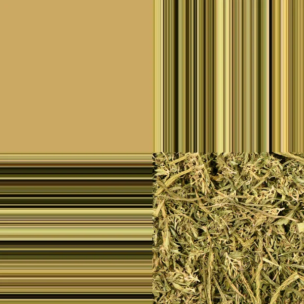 Estandarte Longo Sem Emenda Folhas Cannabis Secas Cannabis Medicinal Alta — Fotografia de Stock