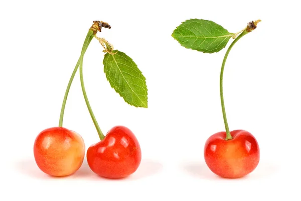 Light Red Sweet Cherry Green Leaves Side View Isolated White — Foto Stock