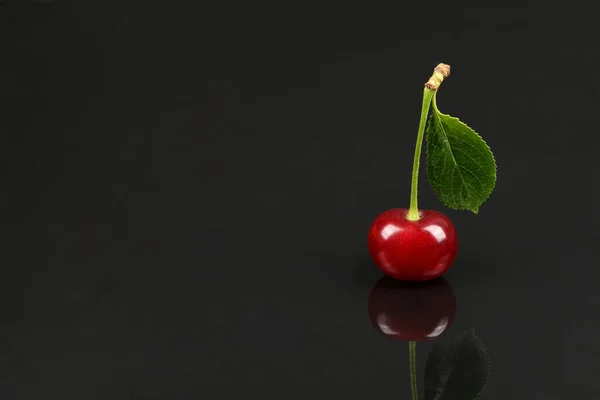Cherry Green Leaf Isolated Black Background Side View Extrem Close — Fotografia de Stock