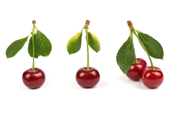 Collection Cherries Green Leaf Isolated White Background Side View Extrem — Stockfoto