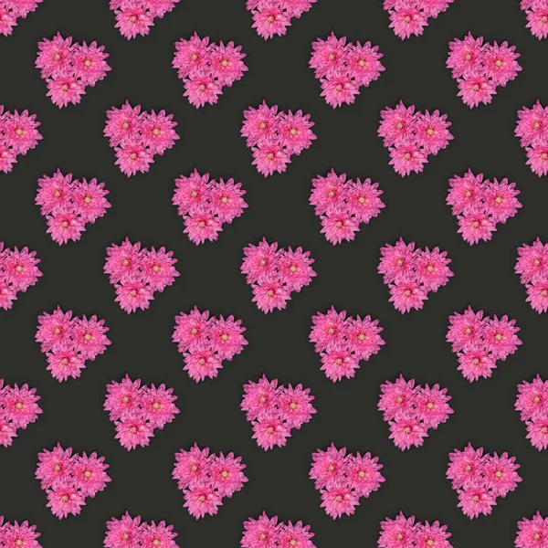 Patrón Sin Costuras Flor Crisantemo Rosa Chrysanthemum Indicum Aislada Sobre — Foto de Stock