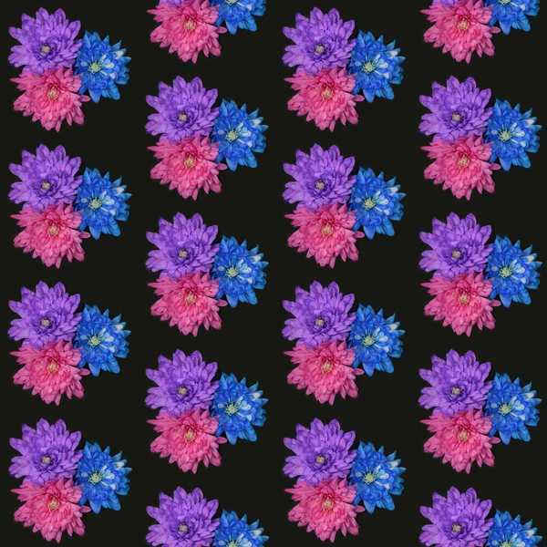Kusursuz Desen Siyah Zemin Üzerinde Pembe Mavi Mor Kasımpatı Çiçekleri — Stok fotoğraf