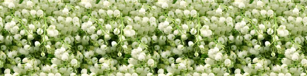 Seamless long banner, Bouquet of lilies of the valley. High resolution. Full depth of field