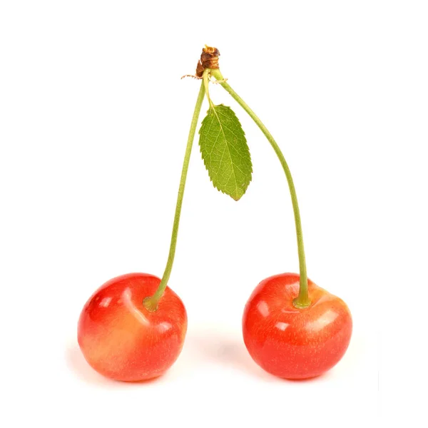Light Red Sweet Cherry Green Leaves Side View Isolated White — Stockfoto