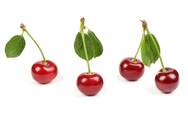 Collection Cherries Green Leaf Isolated White Background Side View Extrem — Stock fotografie