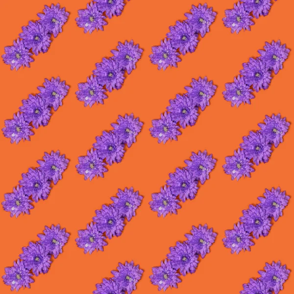 Zökkenőmentes Minta Violet Krizantém Virág Chrysanthemum Indicum Elszigetelt Narancs Alapon — Stock Fotó