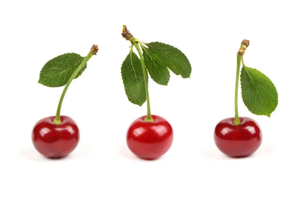 Collection Cherries Green Leaf Isolated White Background Side View Extrem — Photo