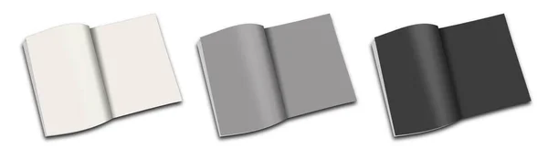 Modelo Branco Três Revistas Branco Cinza Preto Para Layouts Apresentação — Fotografia de Stock