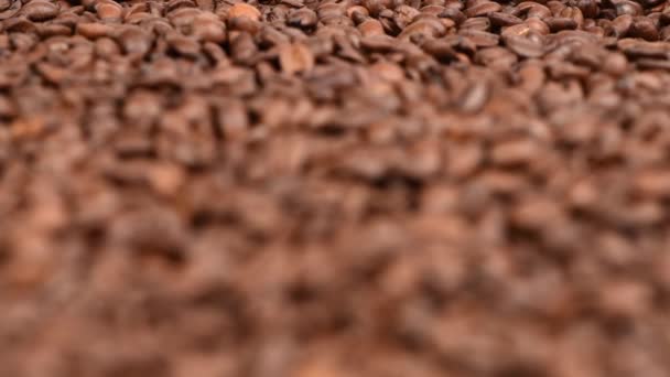 ローストコーヒー豆 ソフトフォーカスが徐々に前に来る サイドビュー Uhdビデオ映像3840X2160 — ストック動画