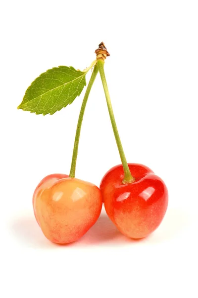 Light Red Sweet Cherry Green Leaves Side View Isolated White — Foto Stock