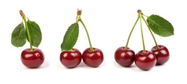 Collection Cherries Green Leaf Isolated White Background Side View Extrem — Stock fotografie