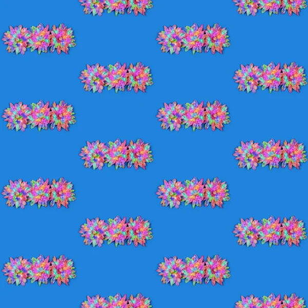 Patrón Sin Costuras Flor Crisantemo Color Abstracto Chrysanthemum Indicum Aislada — Foto de Stock