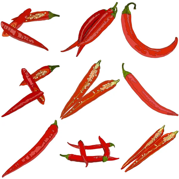 Red Chili Pepper Isolated White Background Side View Vector Illustration — 图库矢量图片
